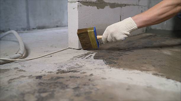 SJ Waterproofing Pros Emergency Waterproofing coverage map for Ferndale, WA and surrounding area